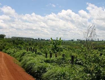 Scenery, Ratanakiri