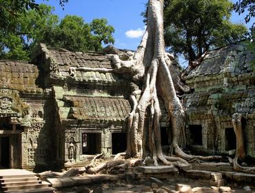 Ta Prohm