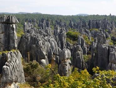 Stone Forest, Kunming