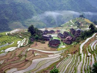 Jiabang Rice Terraces