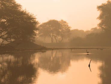 Bird-watching, Bharatpur