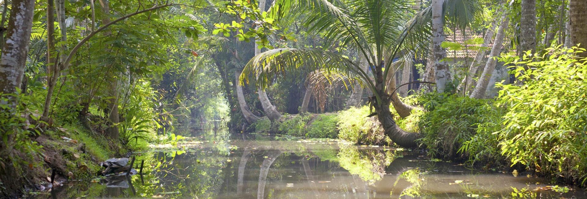 Backwaters, Kerala