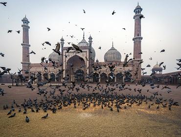 Jama Masjid, Delhi