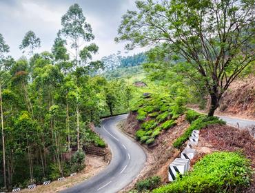 Road, Western Ghats