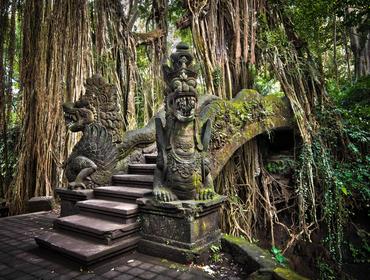 Monkey forest temple, Ubud