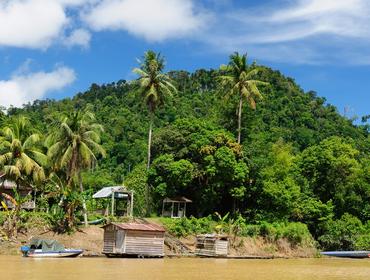 Jungle and river scene, Kalimantan