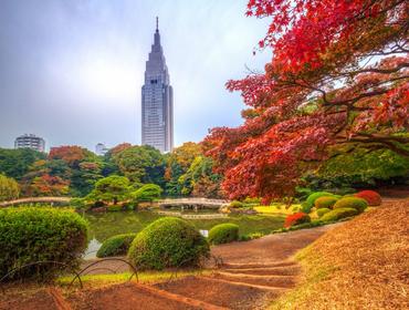 Shinjuku Park, Tokyo