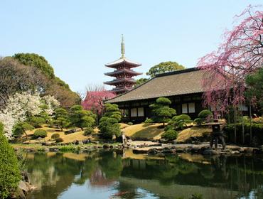 Denpoin Temple, Tokyo