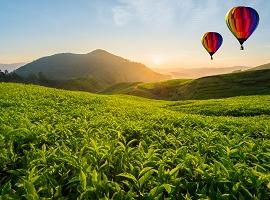 Hot air baloons, malaysia