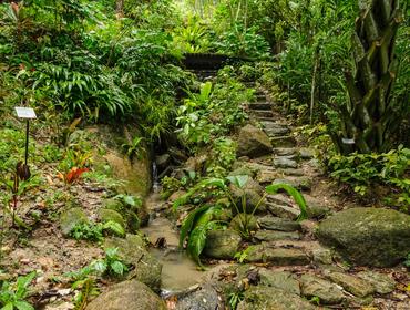 Tropical Spice Garden, Penang