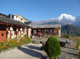 Himalayan Teahouses