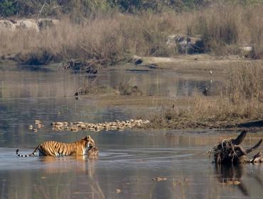 Chitwan National Park