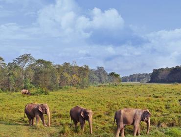 Chitwan National Park