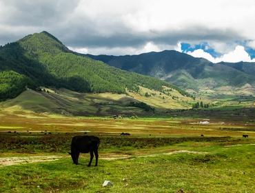 Phobjikha Valley