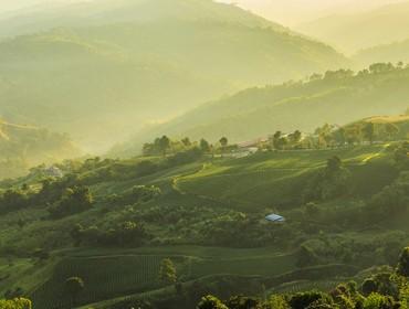 The hills, Chiang Mai