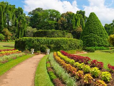 Peradeniya Botanical Gardens