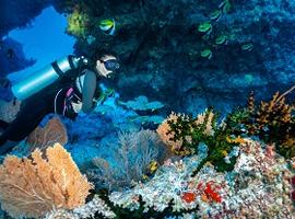 Diving, Maldives