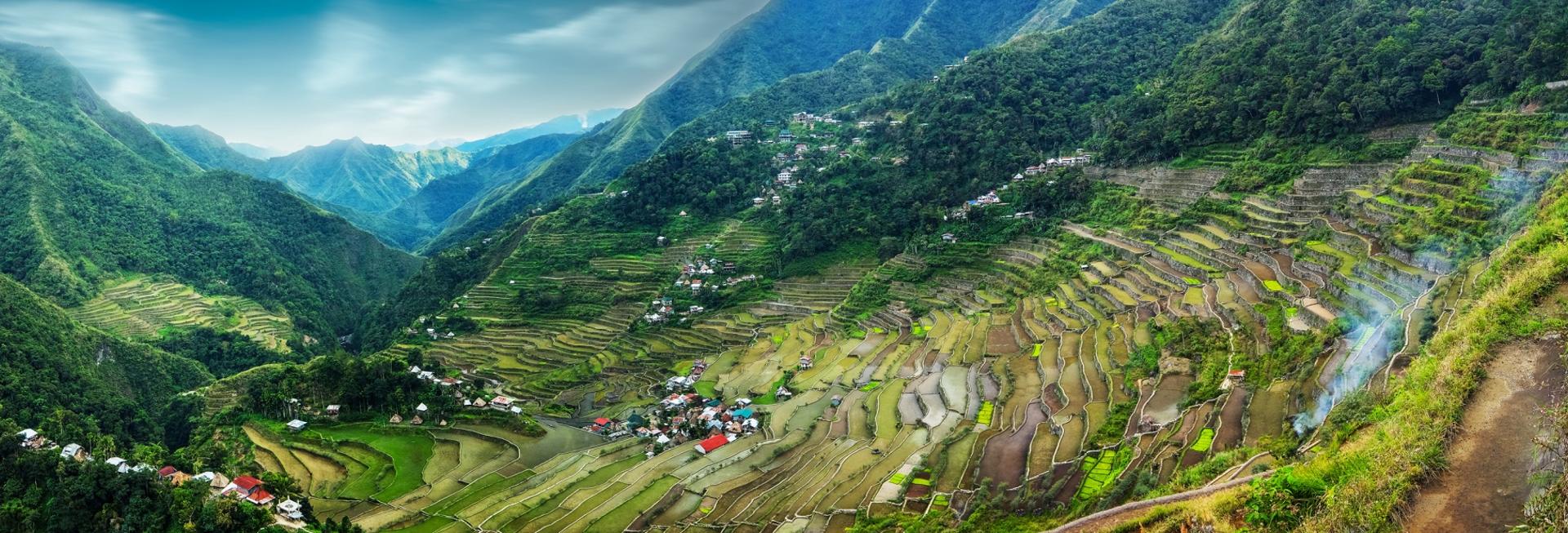 Rice terraces, Boracay, The Philippines