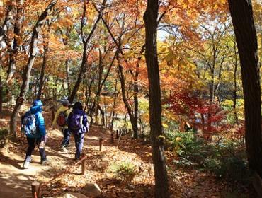 Hiking in Bukhansan National Park