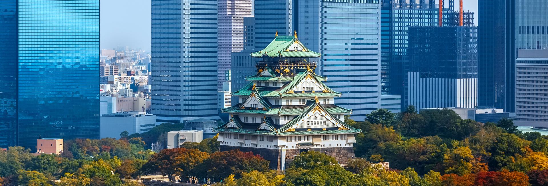 Osaka Castle and Skyline